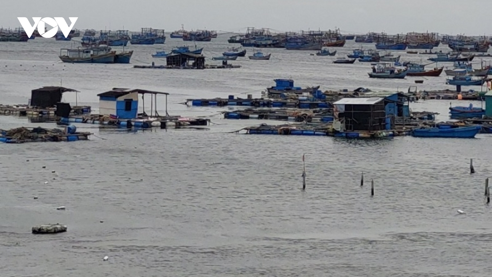 Ninh Thuận và Bình Thuận sẵn sàng "4 tại chỗ" ứng phó bão số 4