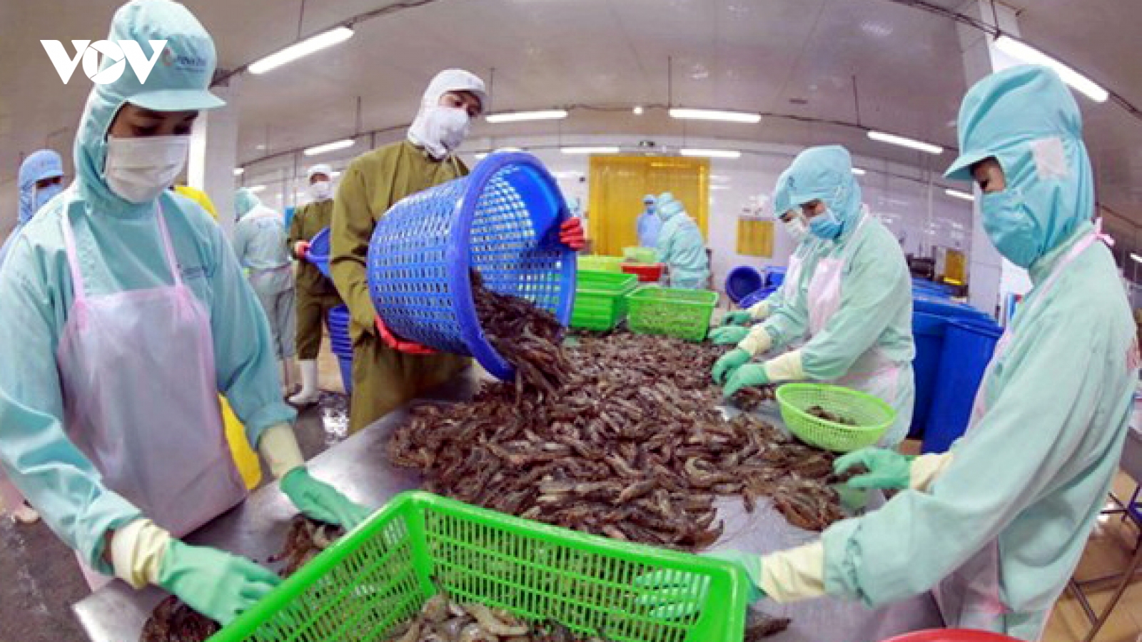 Tôm Việt Nam có nhiều cơ hội xuất khẩu