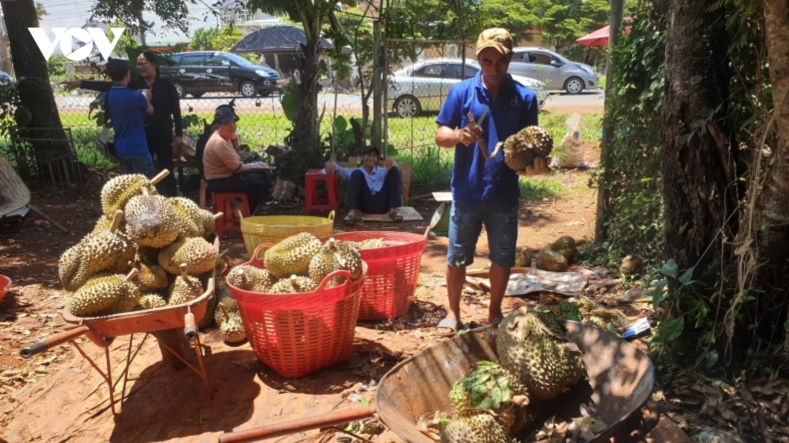 Áp lực lớn phía sau lễ hội sầu riêng