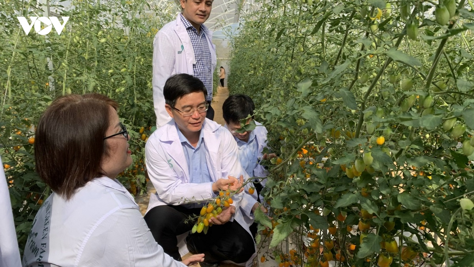Ngành nông nghiệp Đắk Lắk nỗ lực chuyển đổi số để hội nhập