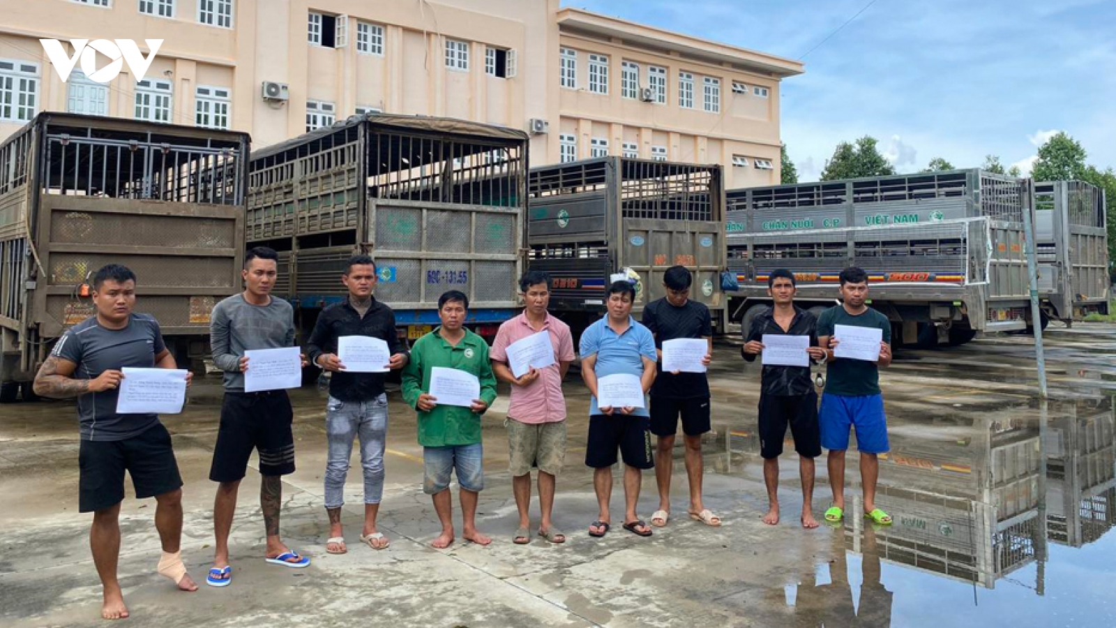9 đối tượng bị bắt giữ khi đánh tráo lợn thịt