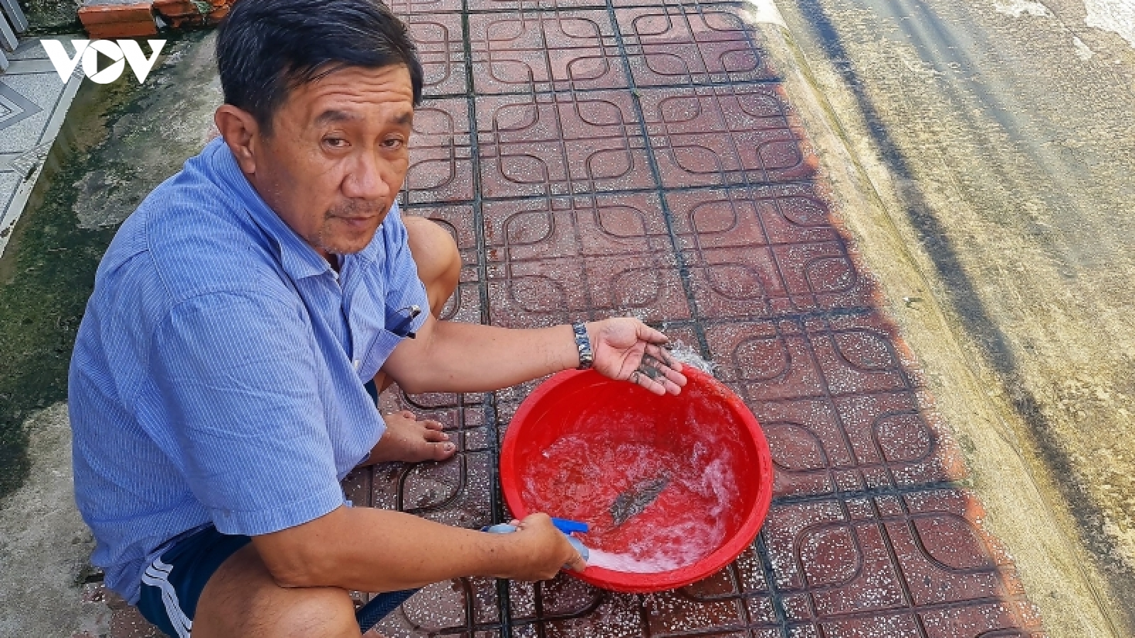 Vụ nước đục ngầu tại khu đô thị Cà Mau: Nguồn nước không sạch?
