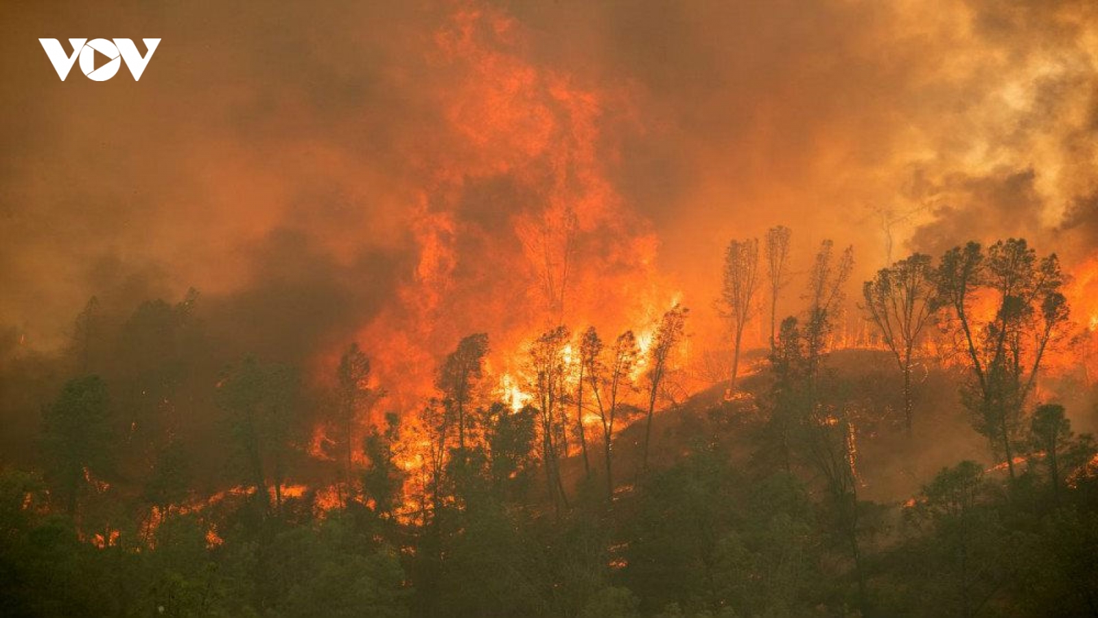 Cháy rừng ở California, Mỹ khiến hàng nghìn người phải sơ tán