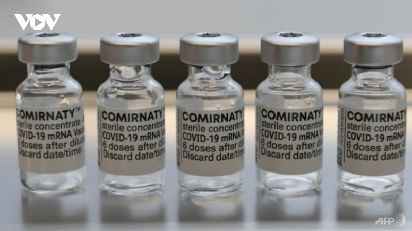 Singapore phê duyệt vaccine Pfizer ngừa Covid-19 cho trẻ từ 6 tháng đến 4 tuổi