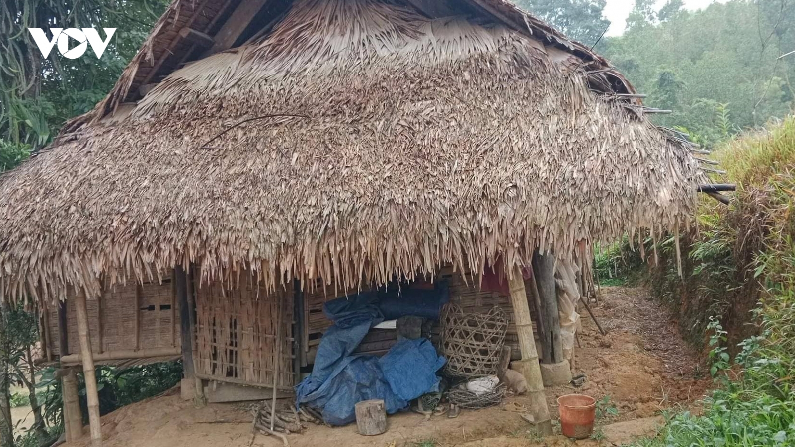 3 bố con nhập viện cấp cứu vì bị ngộ độc nặng sau khi ăn nhầm trứng cóc