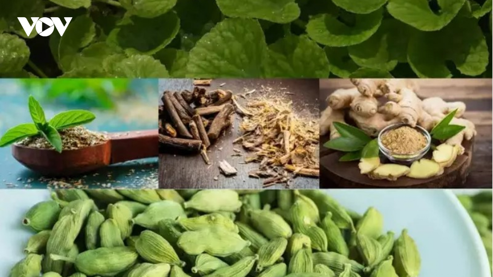 Thêm 5 thành phần tự nhiên này vào đồ uống hằng ngày để đảm bảo sức khỏe