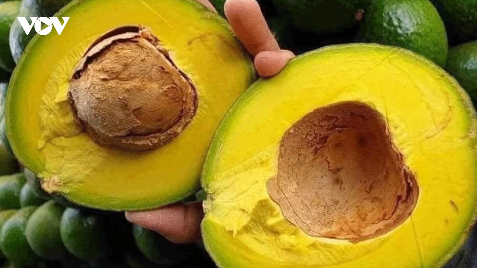 “Siêu thực phẩm” bán đầy chợ, giá rẻ nhưng vẫn ế