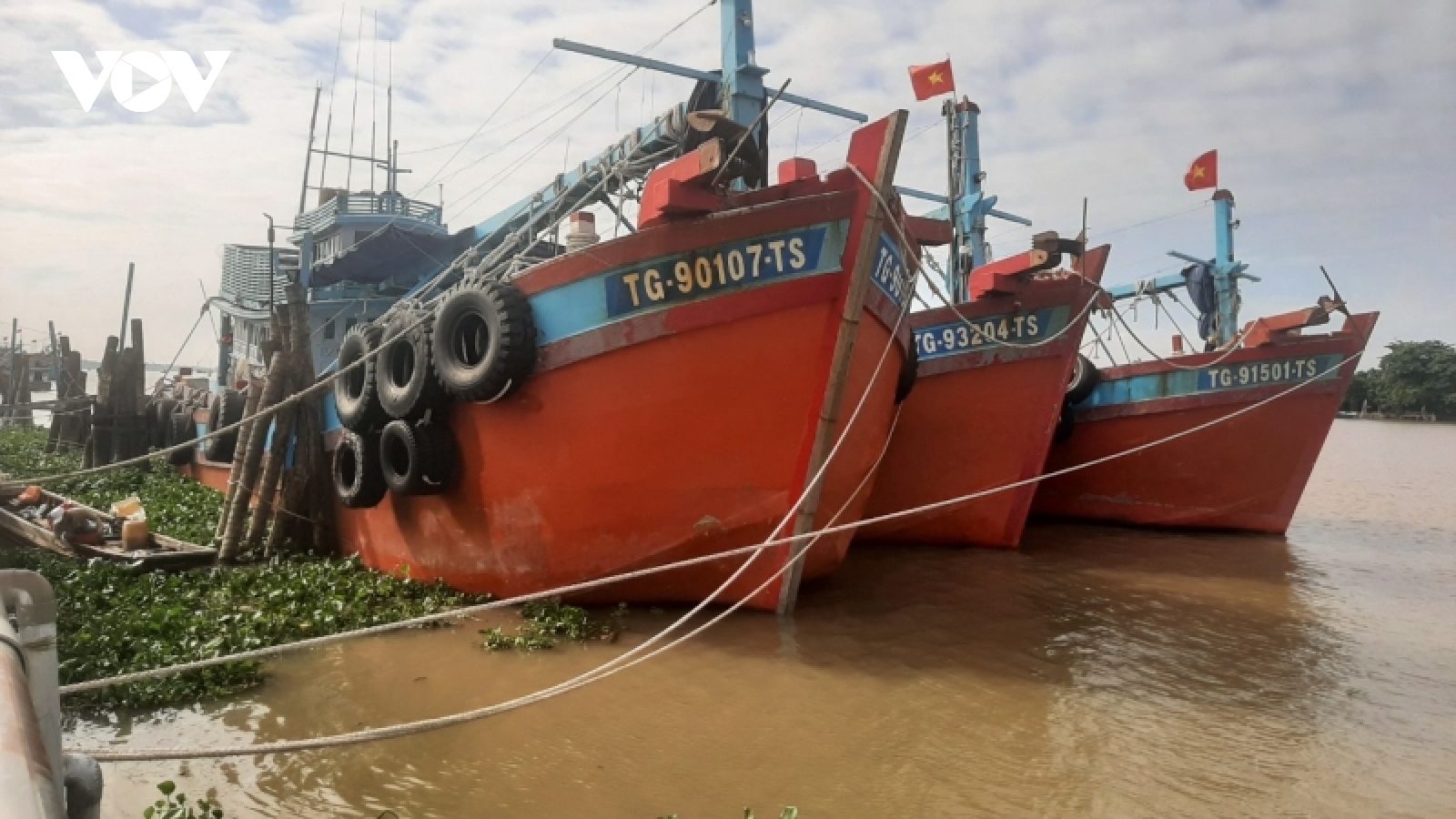 Ngư dân Tiền Giang chấp hành nghiêm các quy định IUU