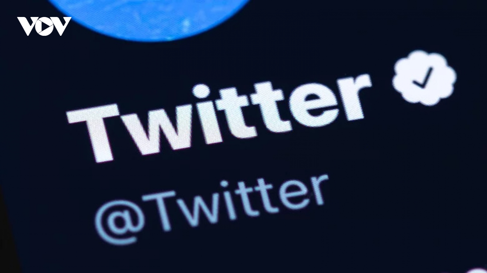 Các tài khoản Twitter có tích xanh có thể bị tính phí