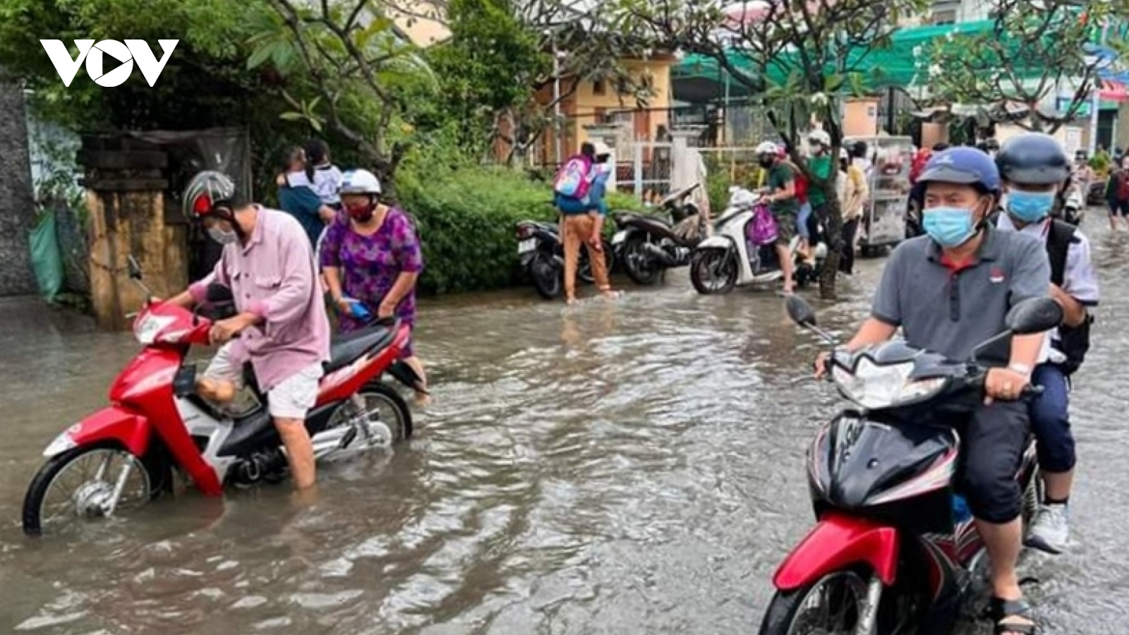 Bạc Liêu khẩn trương ứng phó với đợt triều cường đạt đỉnh