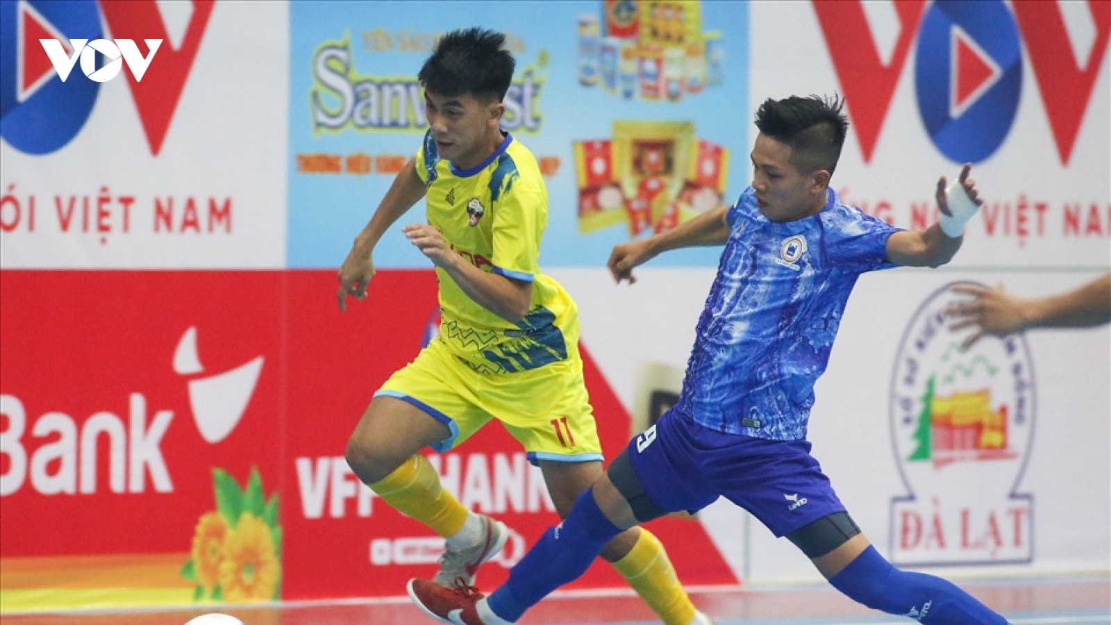 Xem trực tiếp Futsal HDBank VĐQG 2022: Tân Hiệp Hưng - Hiếu Hoa Đà Nẵng
