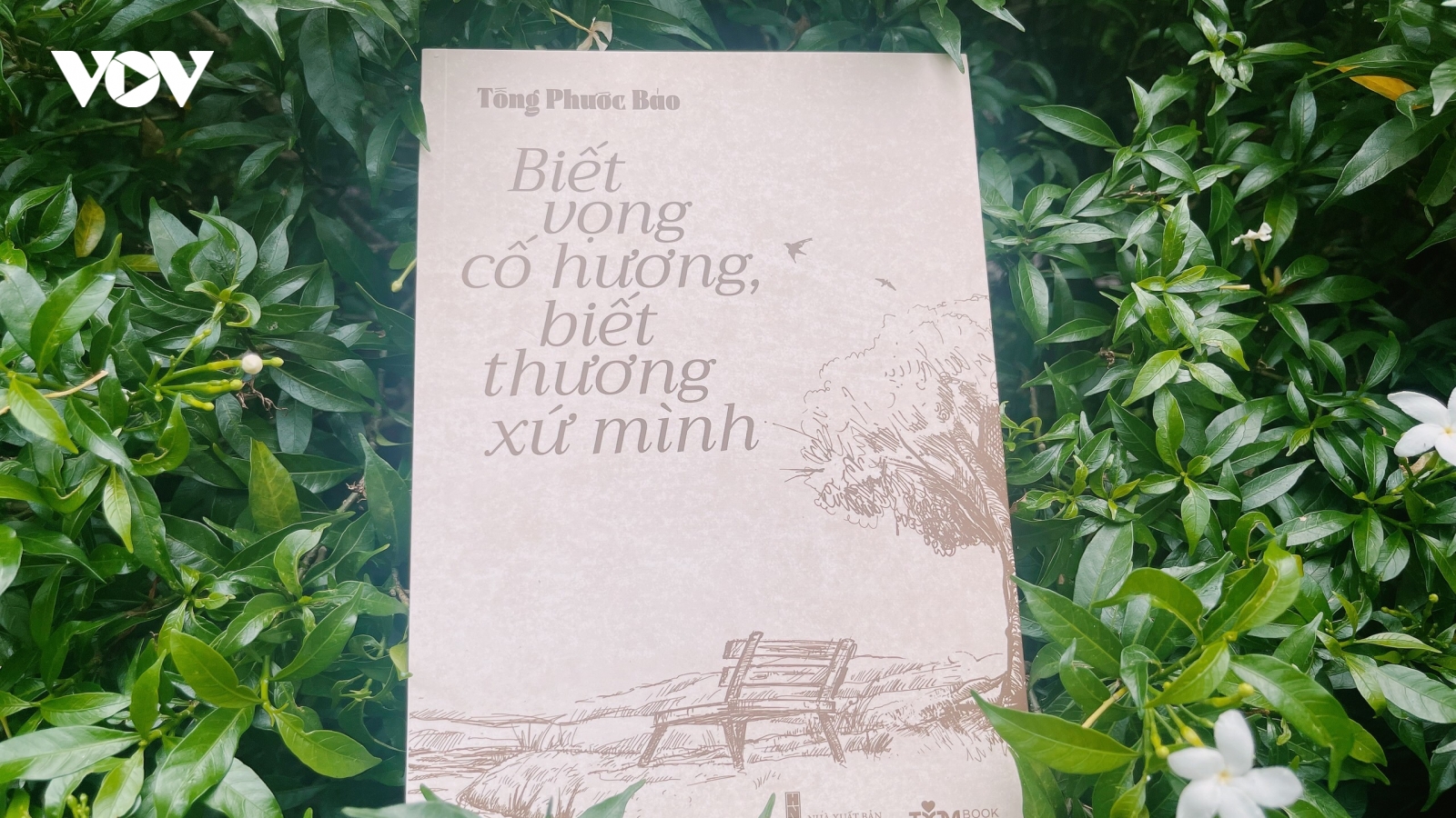 Vọng cố hương thương xứ mình