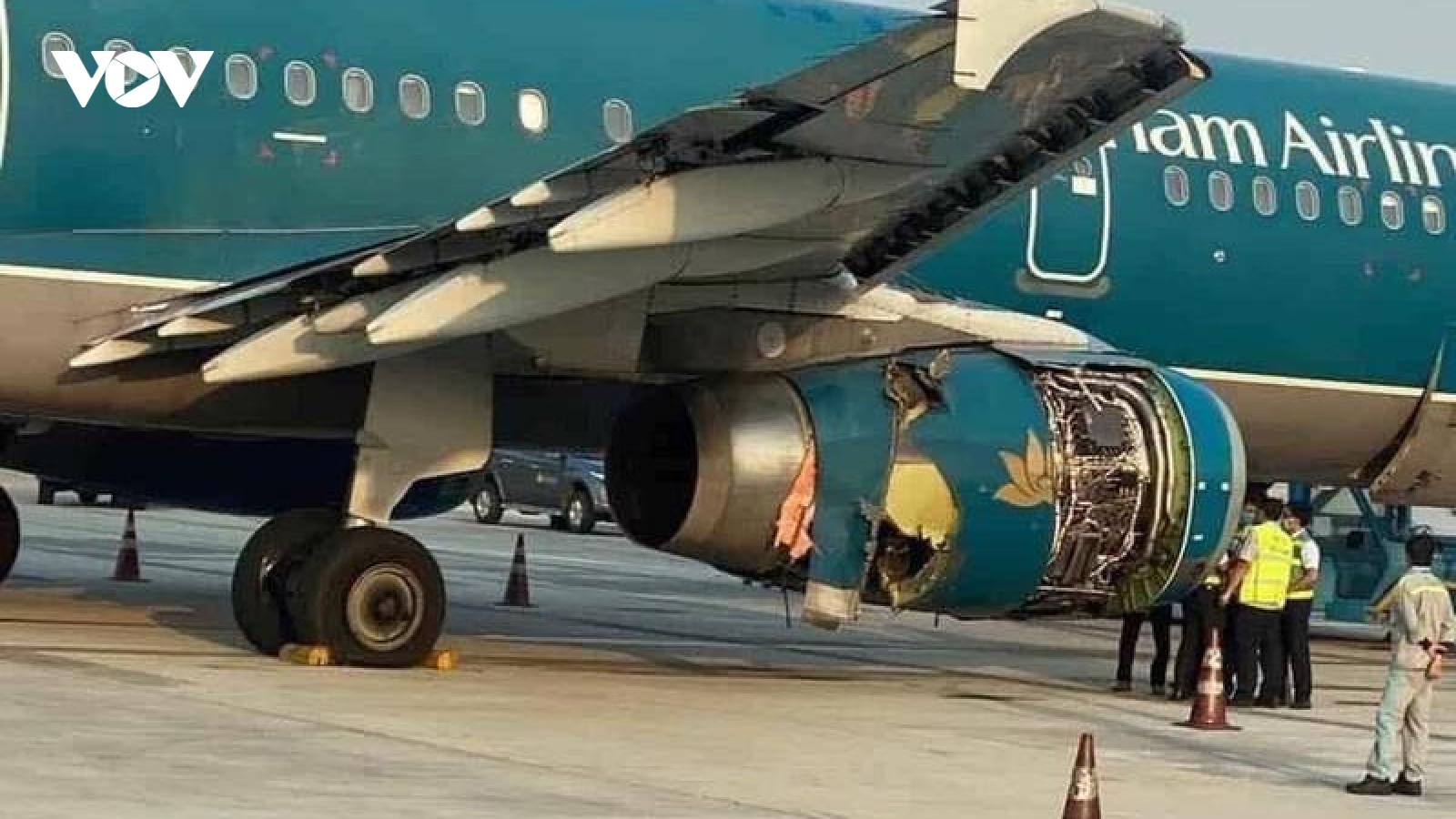 Liên tiếp nhiều chuyến bay va phải chim trời gây hư hỏng máy bay