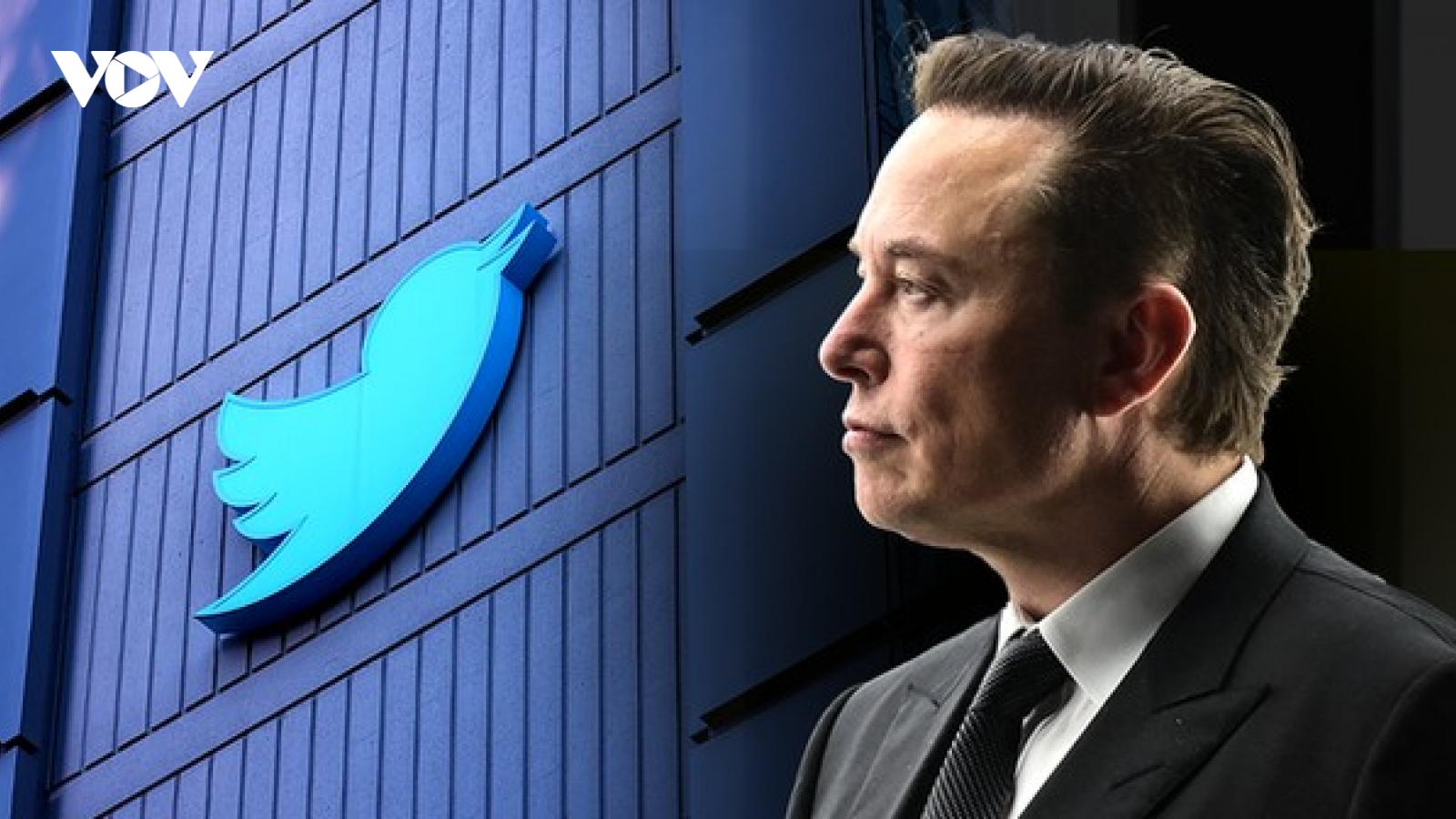Vừa thâu tóm Twitter, Elon Musk sa thải hàng loạt lãnh đạo cấp cao