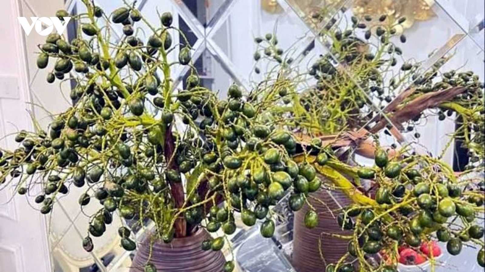 Trào lưu mới khiến cành quả non xanh cắm bình ngày càng hút khách