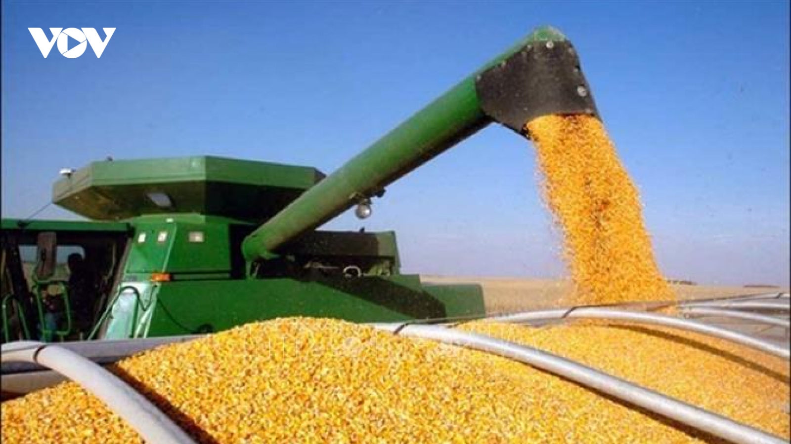 Xuất khẩu ngũ cốc từ Ukraine sẽ dừng nếu liên quan đến "các hành động khủng bố"