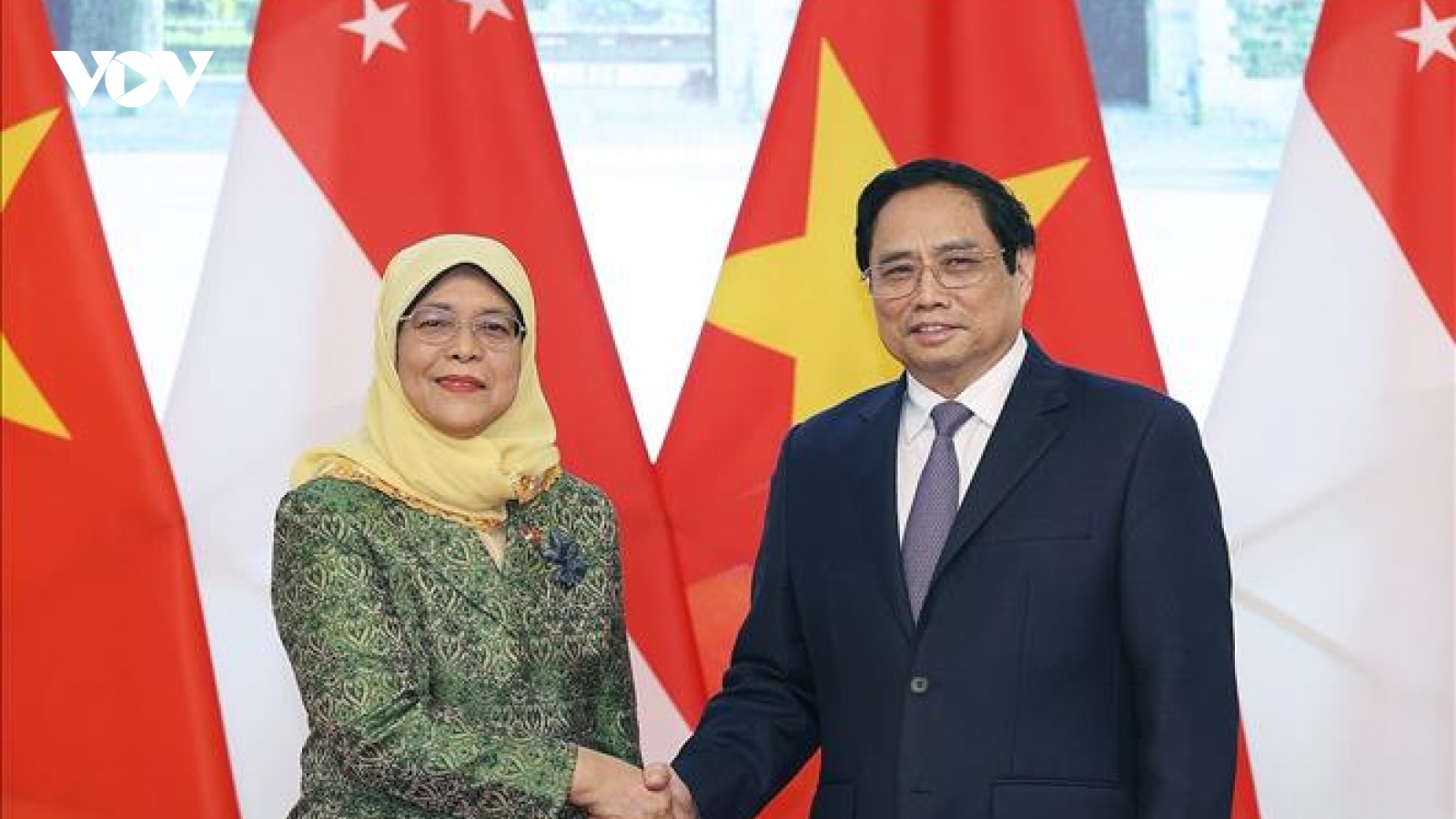 Xây dựng quan hệ đối tác kinh tế số, kinh tế xanh Việt Nam - Singapore