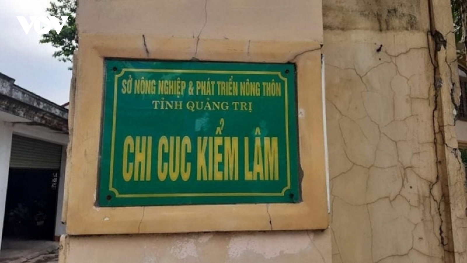Phân công người phụ trách Chi cục Kiểm lâm tỉnh Quảng Trị