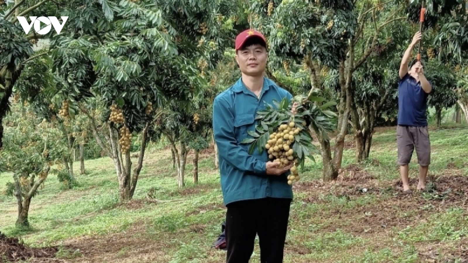Chuyện những tỷ phú nông dân nơi đại ngàn