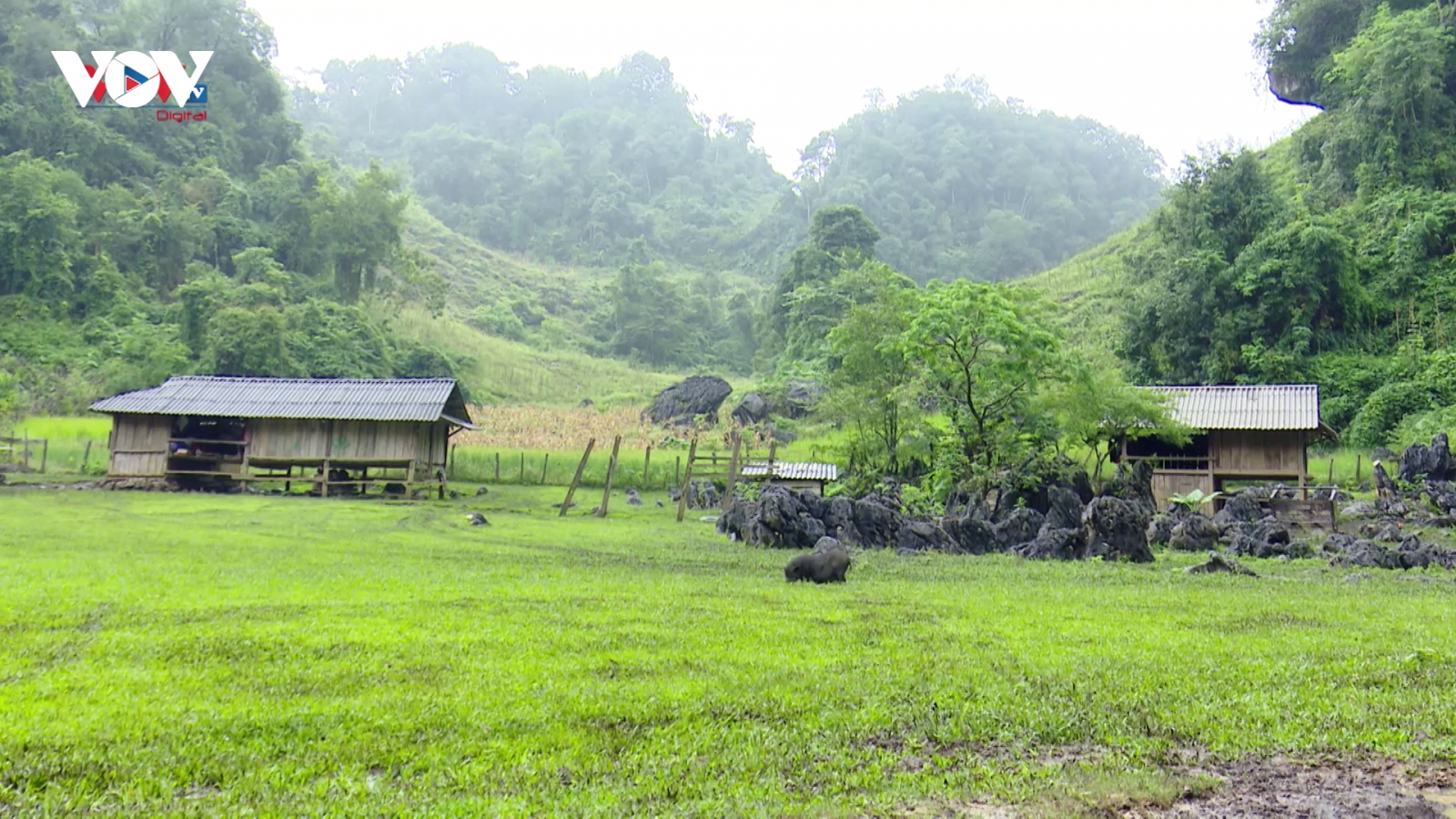 Đến Mộc Châu khám phá bản làng “nguyên thủy” Hang Táu