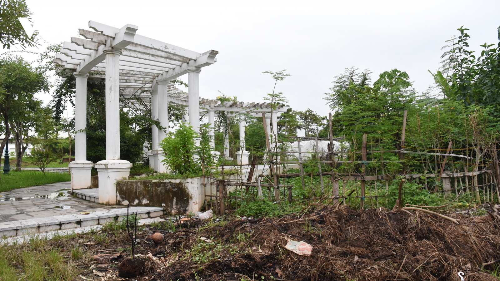 Vườn hoa, cây xanh ở Long Biên vẫn hoang hoá dù đã chi 8,5 tỷ đồng duy tu