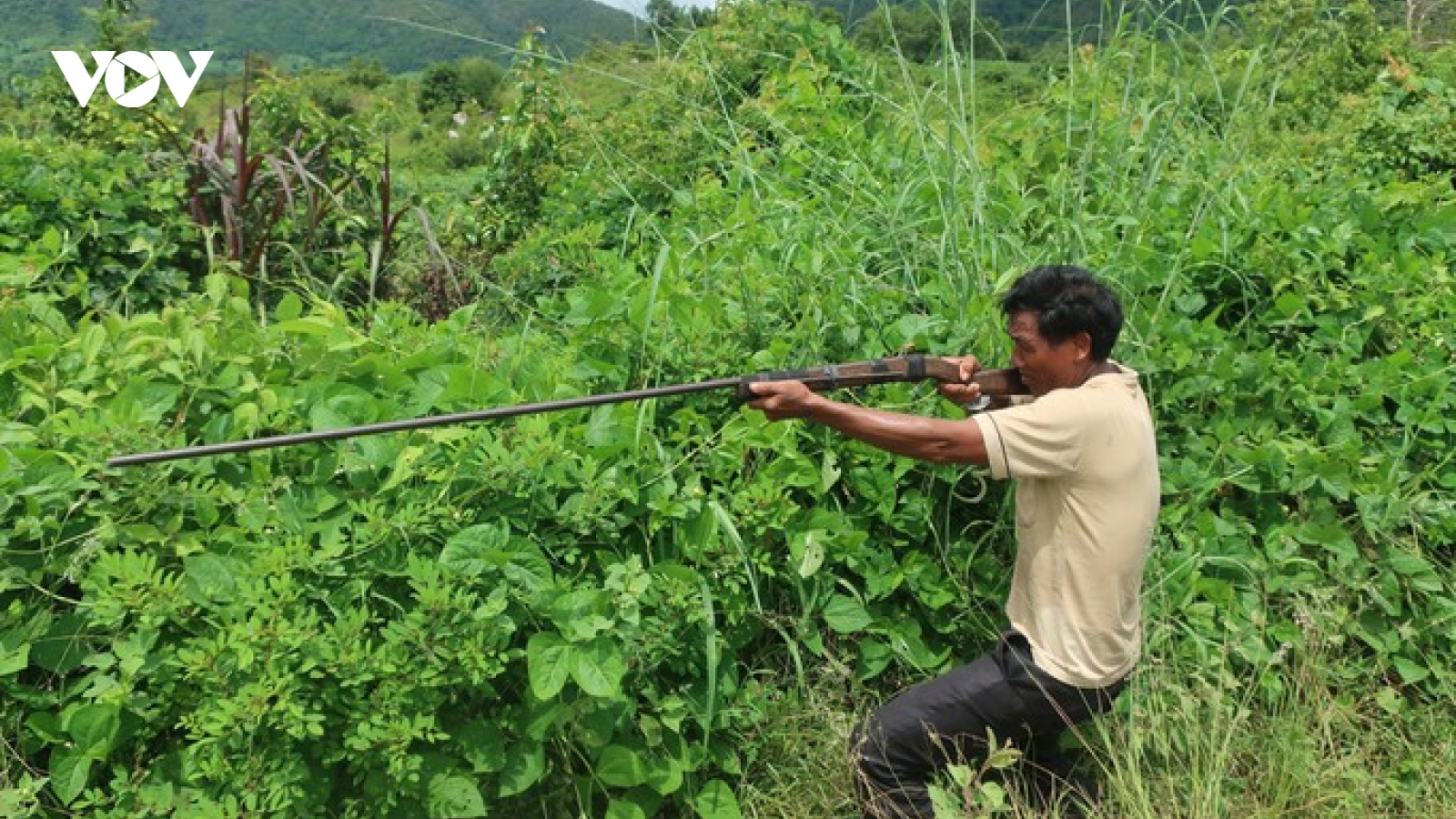 Đi săn vô ý bắn chết người