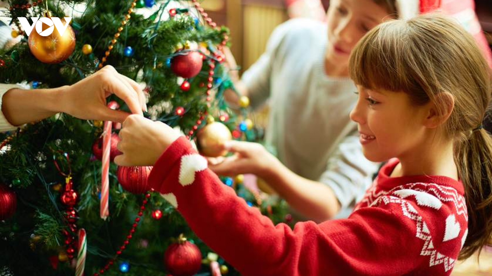 Cách trang trí cây thông Noel cho mùa Giáng sinh