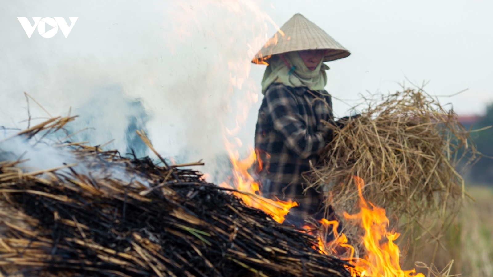 Nông dân ngoại thành Hà Nội đốt rơm rạ, khói mù mịt "bủa vây" người đi đường