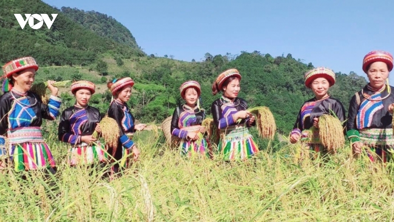 Chùm ảnh: Thả hồn cùng "Sắc thu Ba Bể"