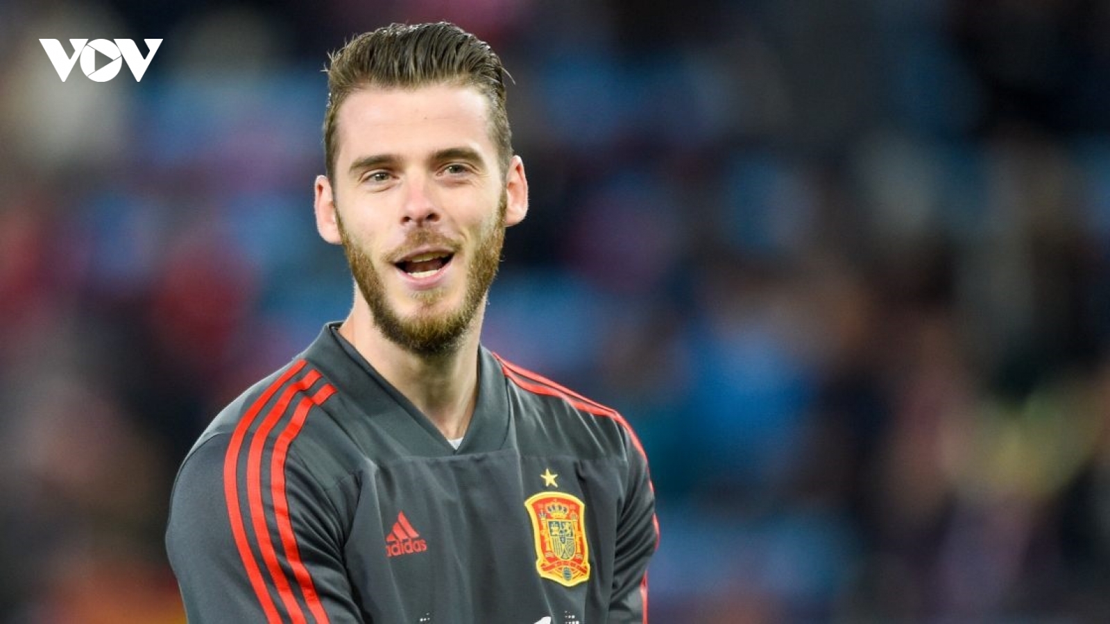 Danh sách ĐT Tây Ban Nha dự World Cup 2022: De Gea và Ramos bị gạch tên