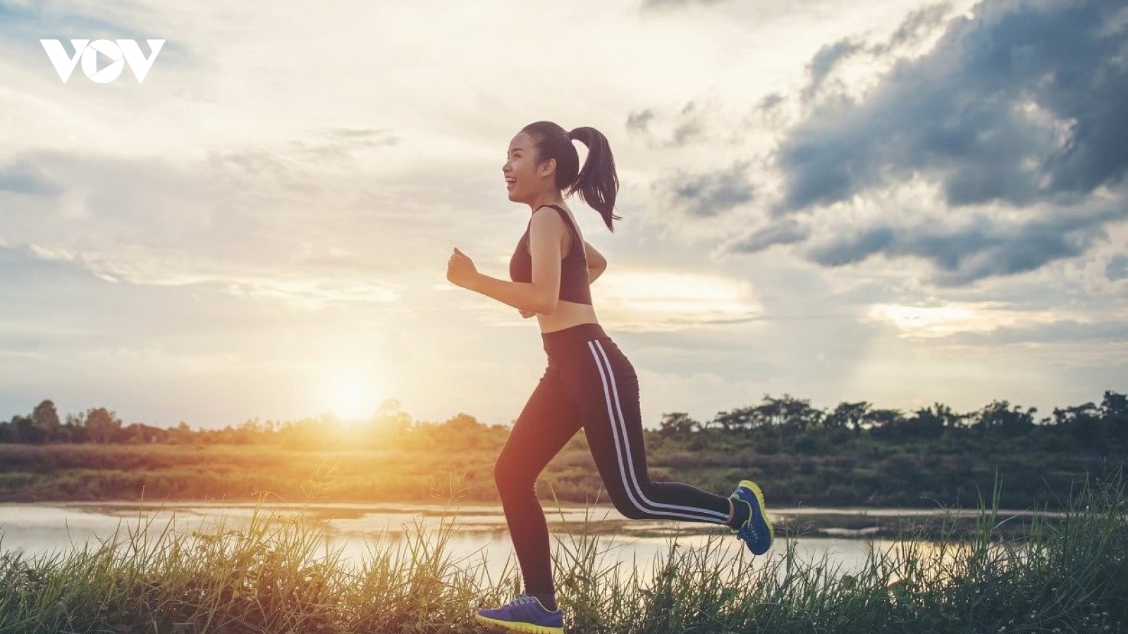 Phương pháp cải thiện tuần hoàn máu não, phòng đột quỵ