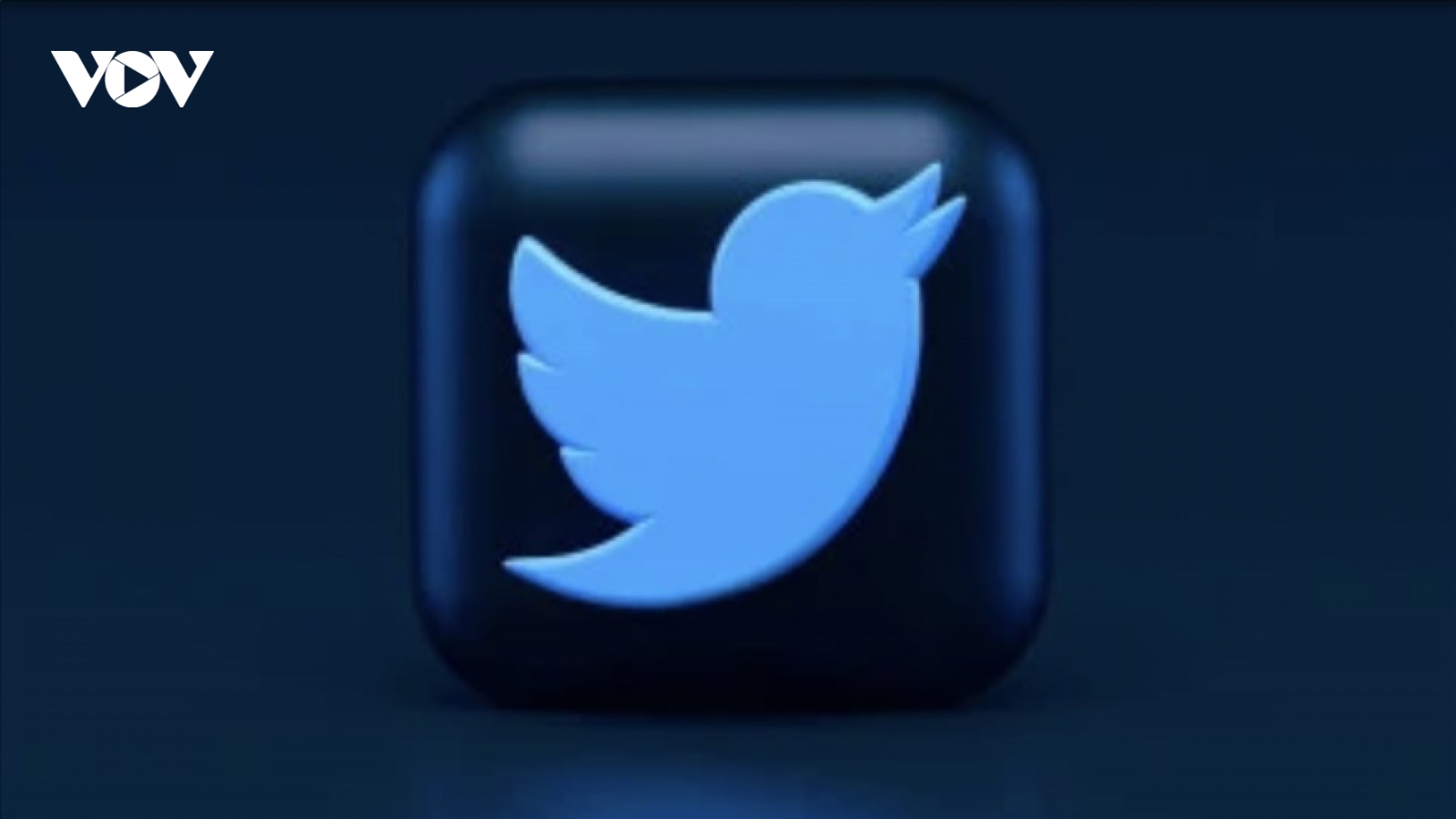 Twitter sa thải 50% nhân viên