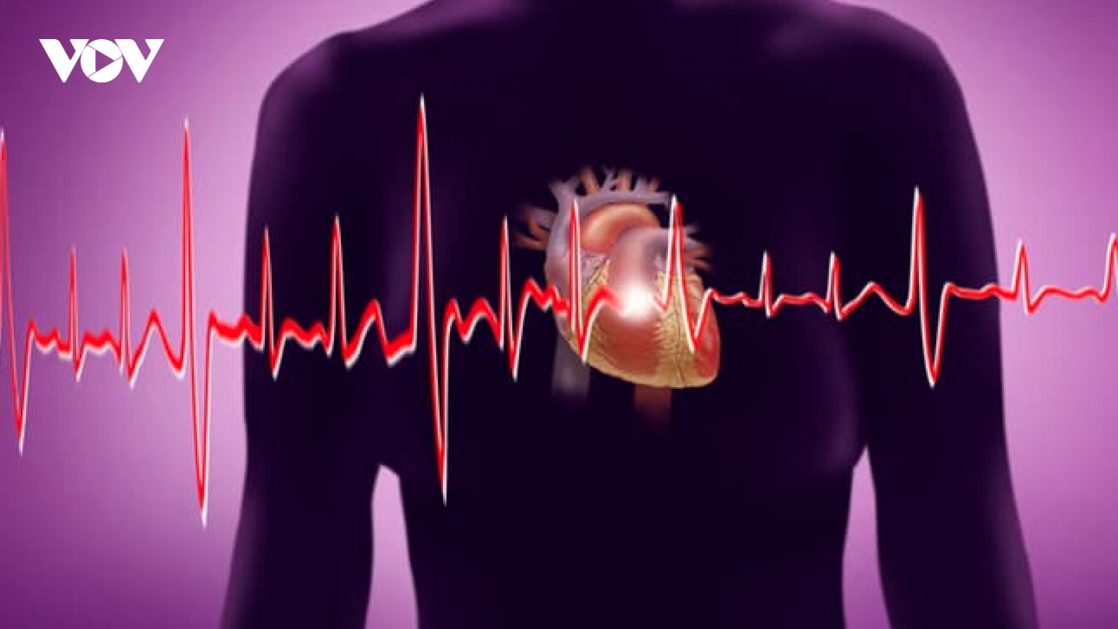 Quá trình lão hóa khiến nguy cơ mắc bệnh tim tăng lên?