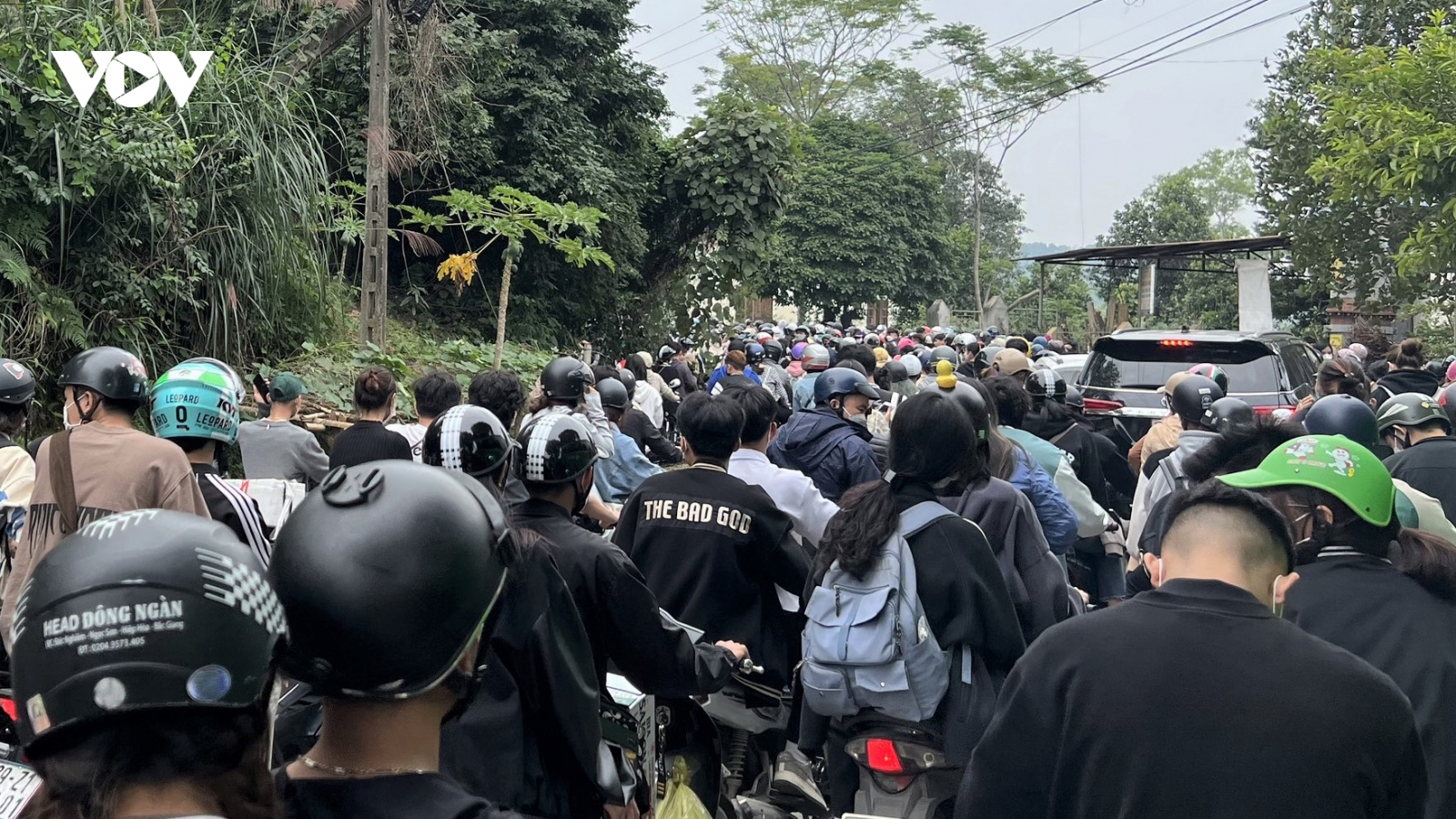 Vườn quốc gia Ba Vì "thất thủ" vì hàng vạn người lên ngắm dã quỳ