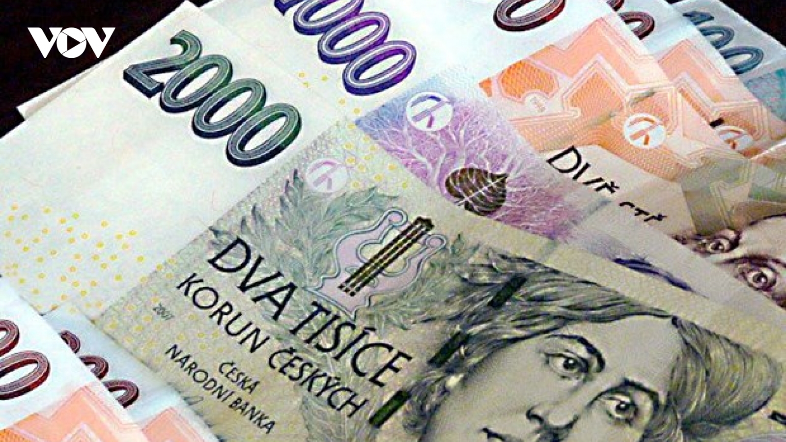 Séc, Hungary và Romania đối mặt nguy cơ khủng hoảng tiền tệ