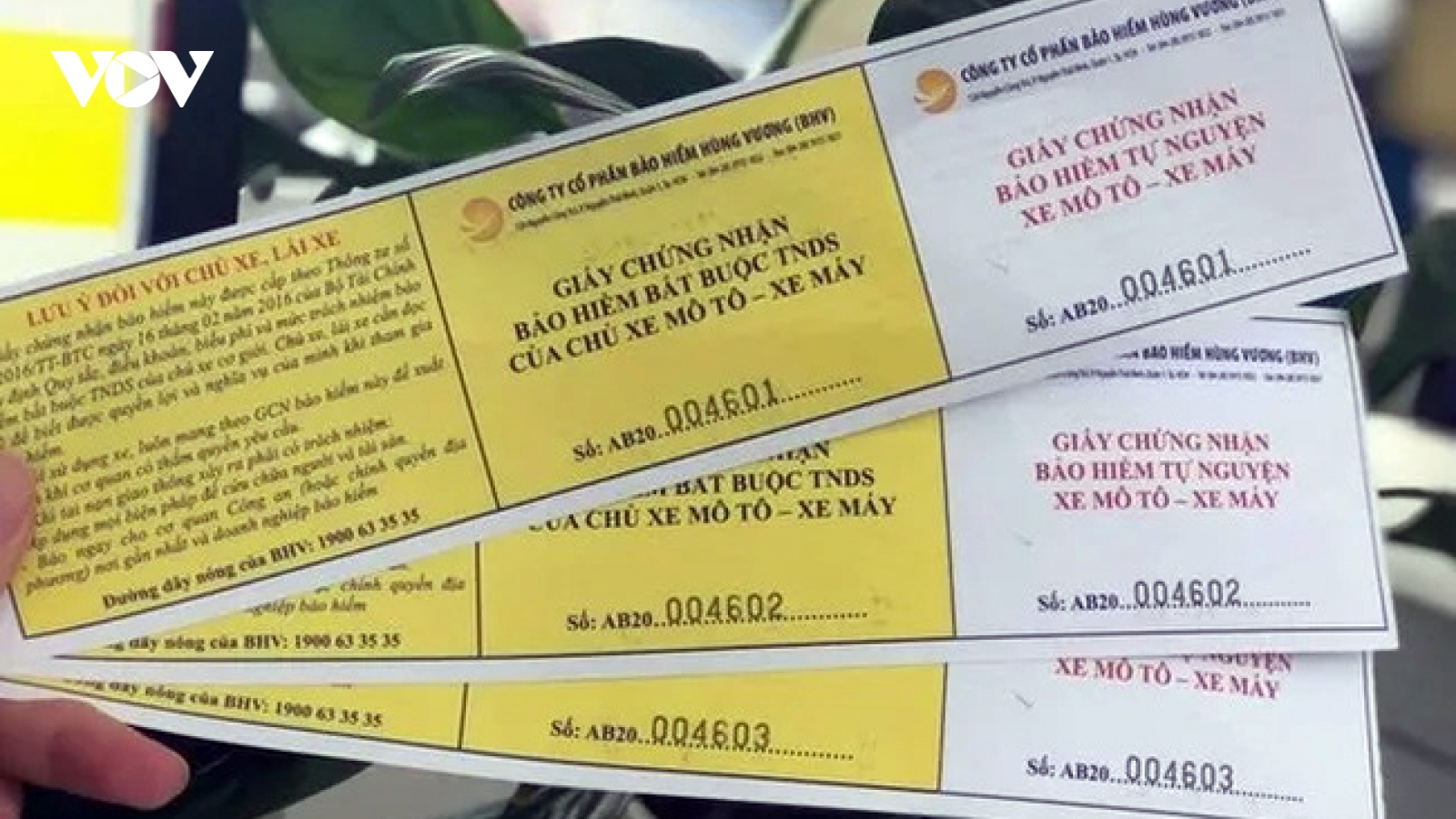 Đề xuất bỏ bảo hiểm bắt buộc đối với xe máy