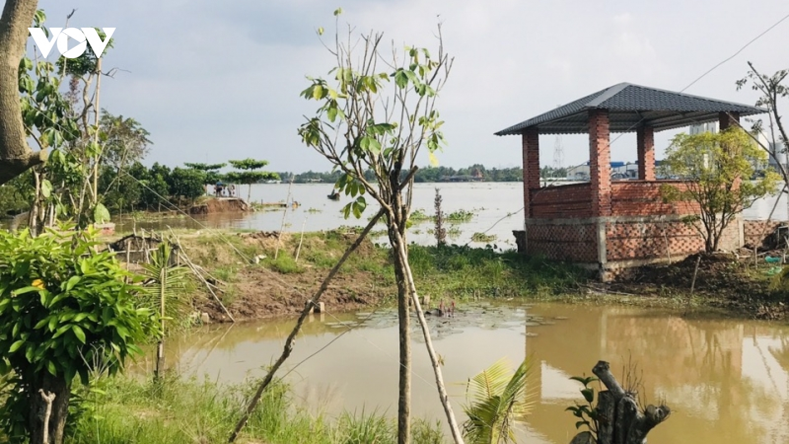 Khẩn trương khắc phục sạt lở ”hàm ếch” tại cồn Phú Đa, Bến Tre