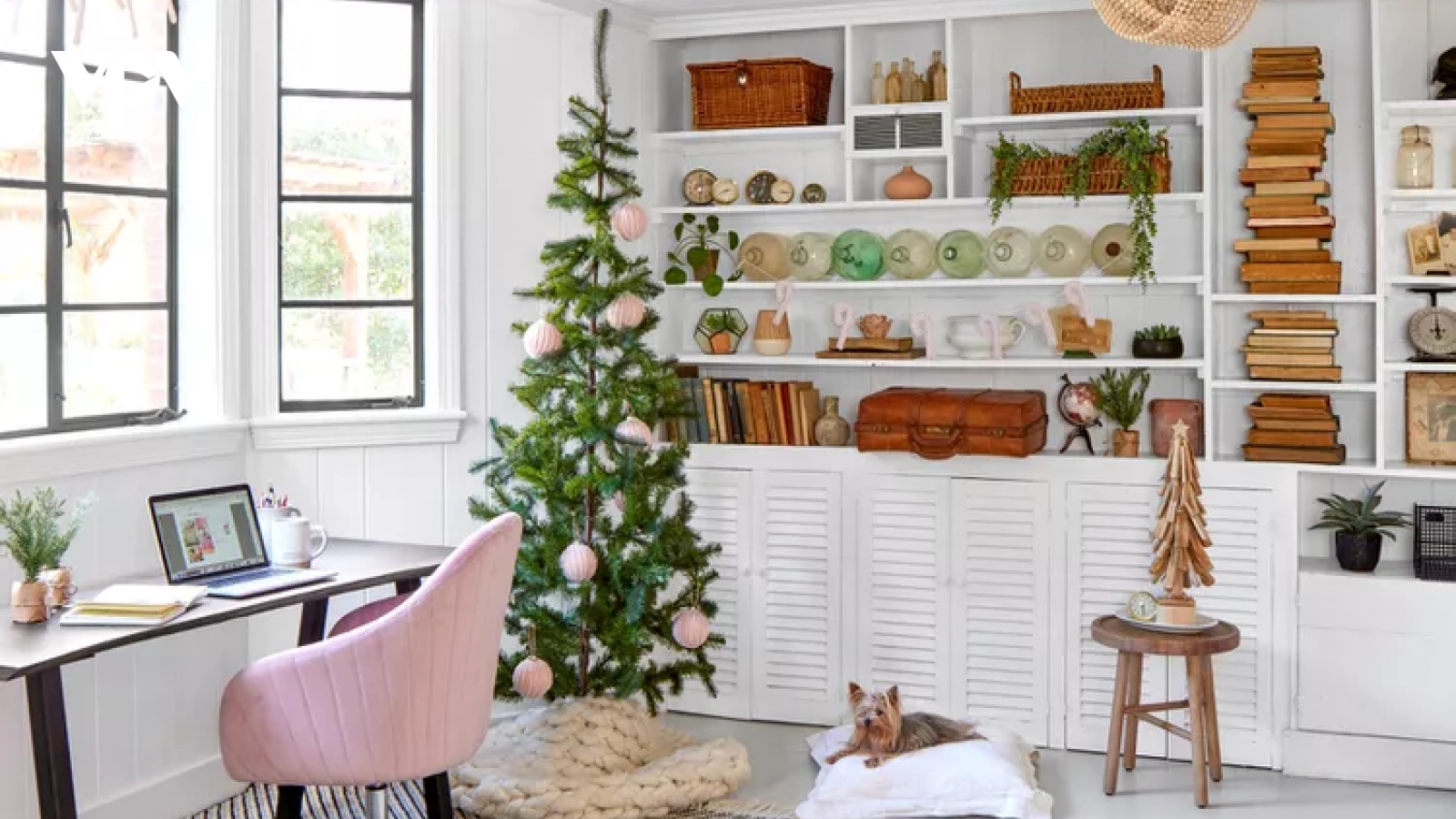 Vì sao cây thông Noel là biểu tượng cho lễ Giáng sinh?