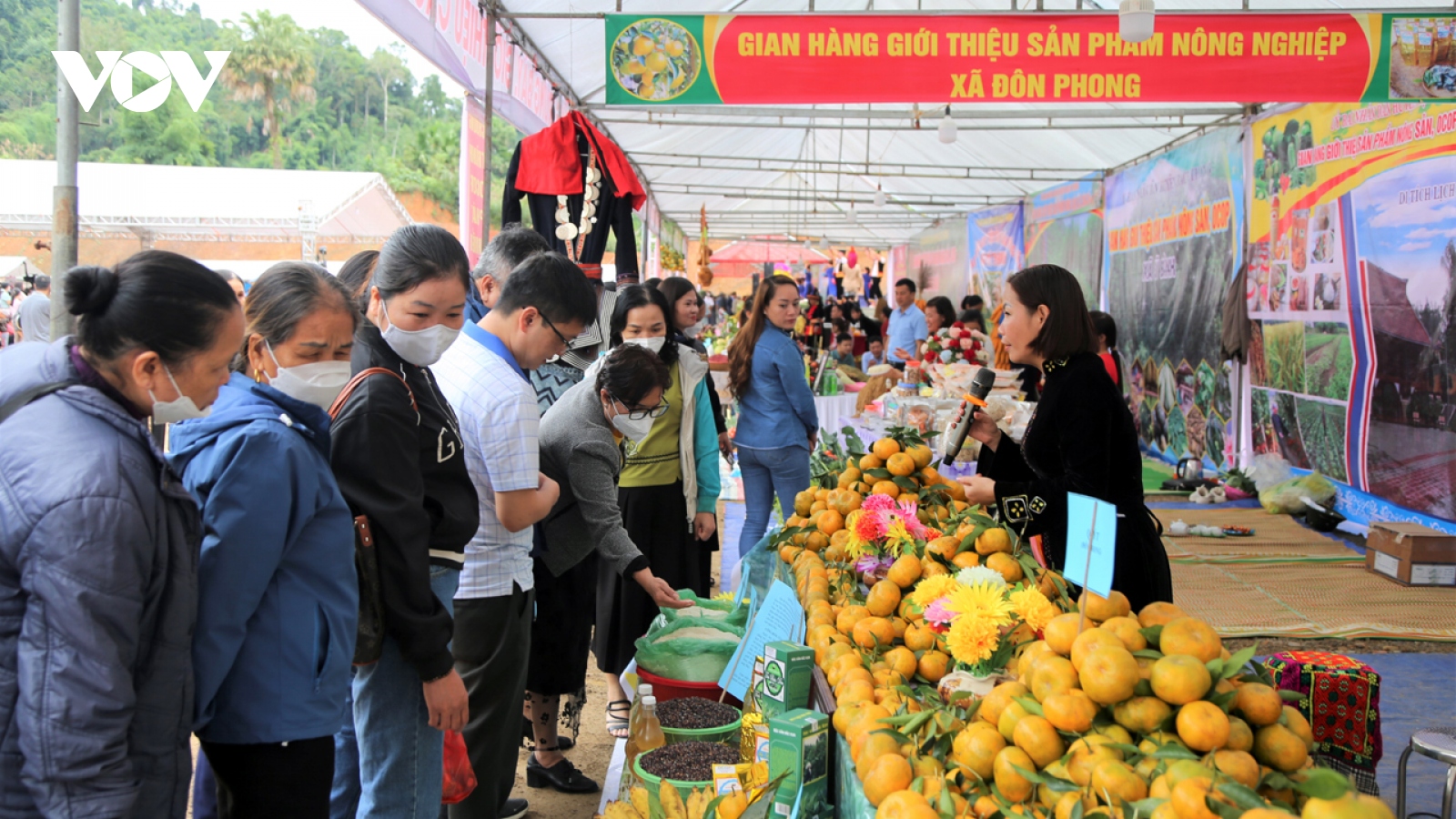 Ngày hội cam quýt Bạch Thông