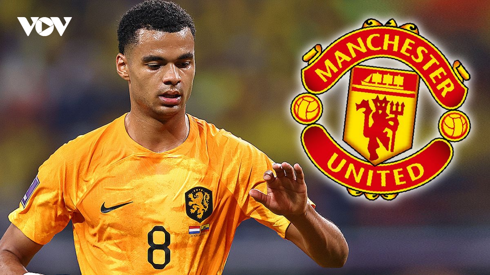 Biếm hoạ 24h: MU ngất ngây khi Cody Gakpo liên tục ghi bàn ở World Cup 2022