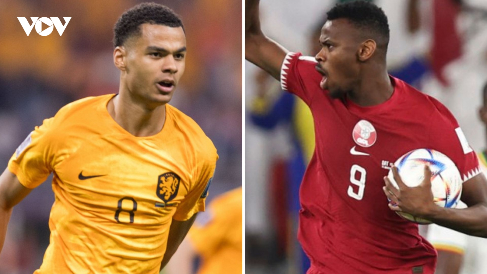 Link xem trực tiếp bóng đá Hà Lan vs Qatar, 22h ngày 29/11