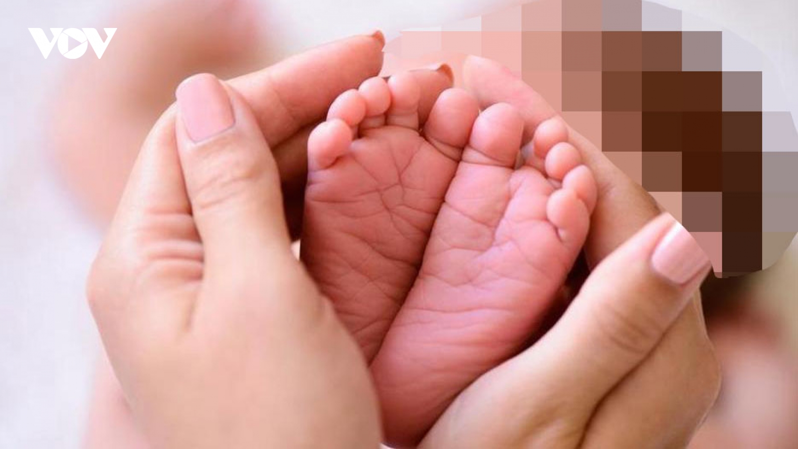 Nóng 24h: Đường dây mua bán trẻ sơ sinh thực hiện trót lọt 31 vụ