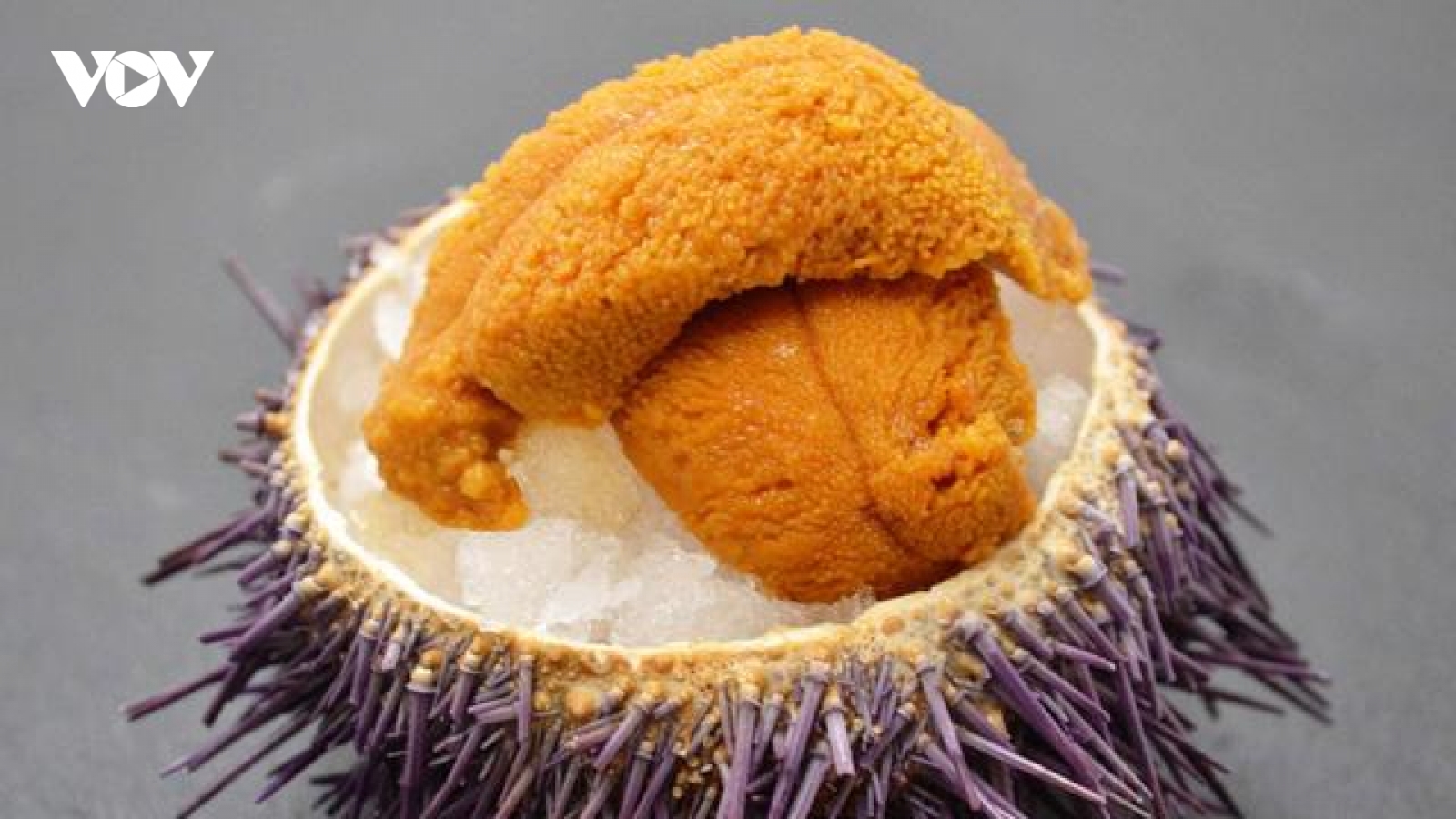 Trứng nhum biển Nhật Bản giá siêu đắt đỏ, có gì đặc biệt?