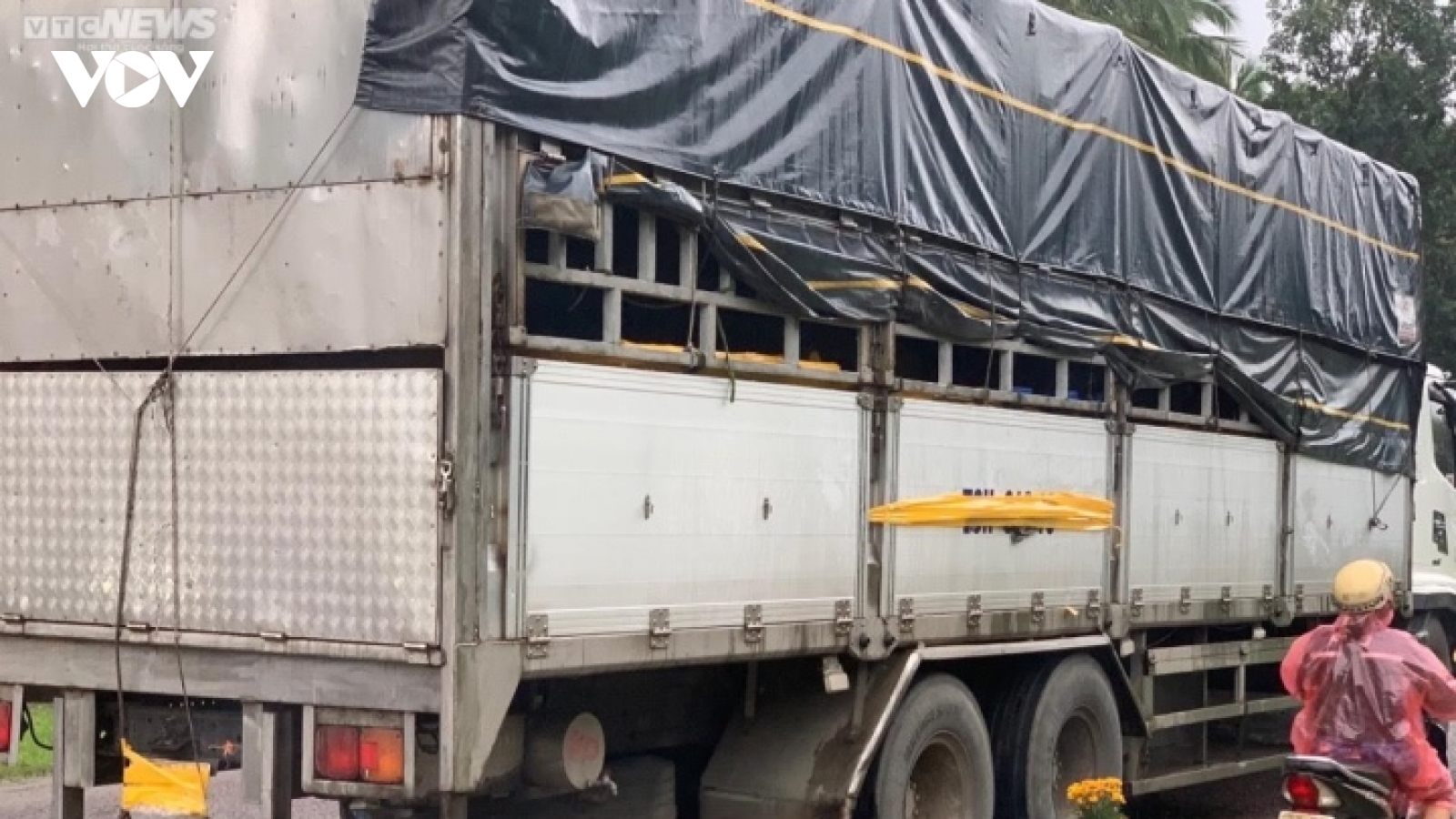 Nguyên nhân ban đầu vụ xe tải lùi cán chết 3 mẹ con ở Phú Yên