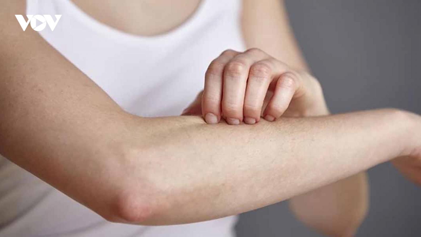 Mẹo xua đuổi muỗi trong mùa dịch