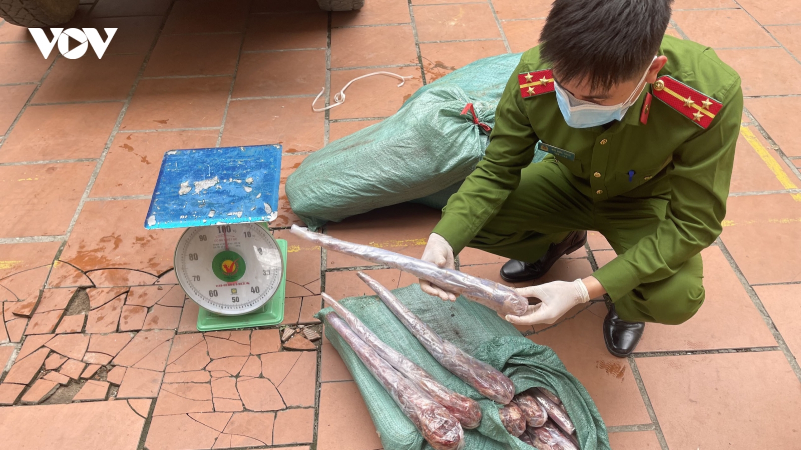Xe ô tô chở 200kg đuôi trâu đông lạnh không rõ nguồn gốc
