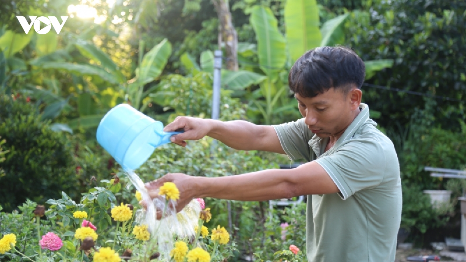 Thầy giáo trẻ với "hoài bão" lớn trên đảo Cô Tô