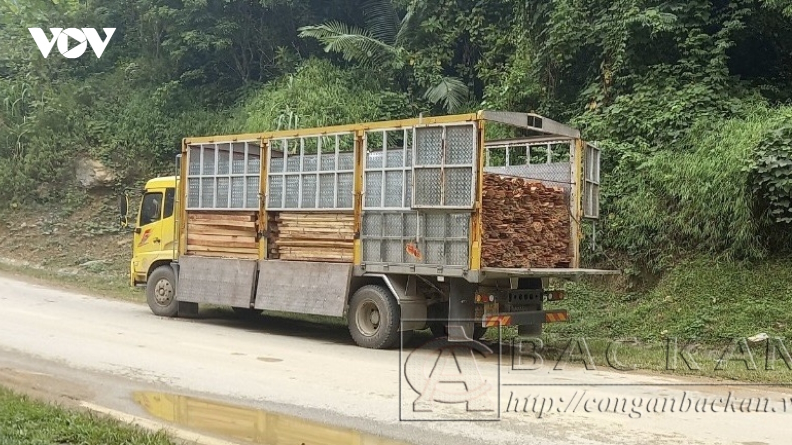 Bắt giữ đối tượng vận chuyển gỗ trái phép ở Bắc Kạn