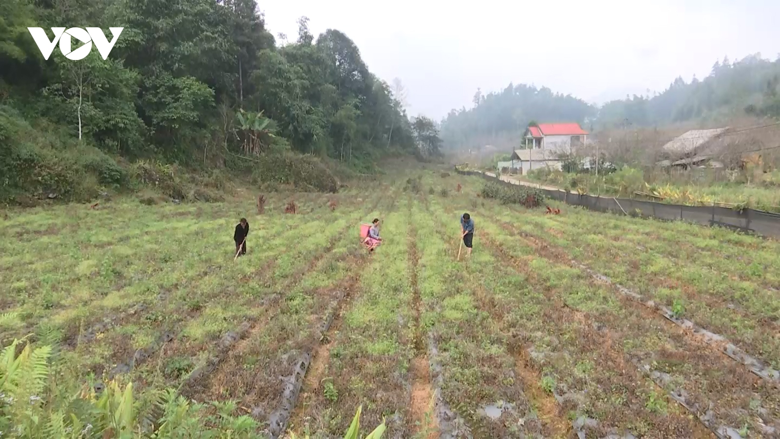 Nhiều gia đình vùng cao Lào Cai viết đơn xin ra khỏi hộ nghèo