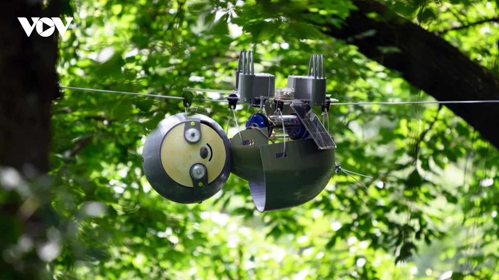 Robot “con lười” rất chậm chạp nhưng lại giúp bảo tồn hệ sinh thái